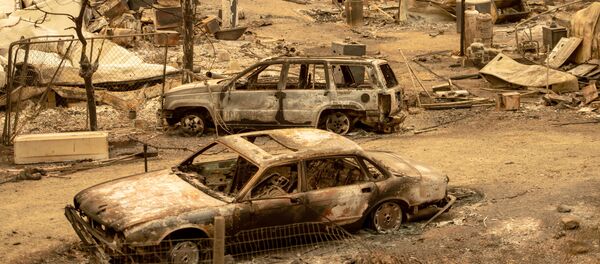 آثار ناجمة عن حريق هائل في كاليفورنيا، الولايات المتحدة 7 أغسطس/ آب 2018 - سبوتنيك عربي