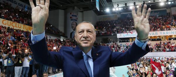 الرئيس رجب طيب أردوغان، تركيا 4 أغسطس/ آب 2018 - سبوتنيك عربي