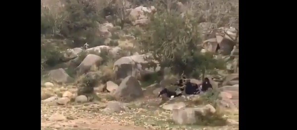 قرد يهاجم فتيات سعوديات ويجبرهن على الهروب قرد يهاجم فتيات سعوديات ويجبرهن على الهروب - سبوتنيك عربي