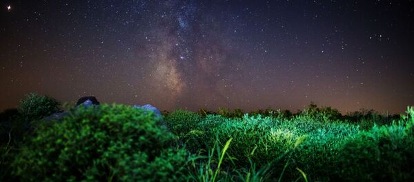 سماء مليئة بالنجوم في إقليم كراسنودارسكي كراي في روسيا أثناء مطر النيازك شهب البرشاويات - سبوتنيك عربي