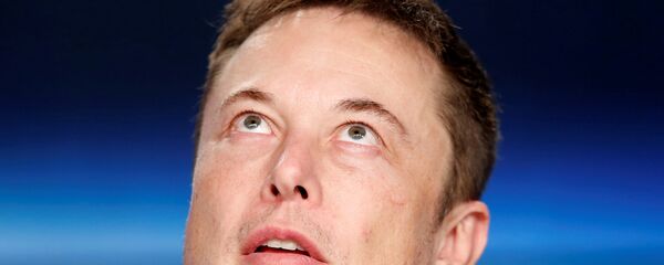 أيلون ماسك مدير تسلا - سبوتنيك عربي