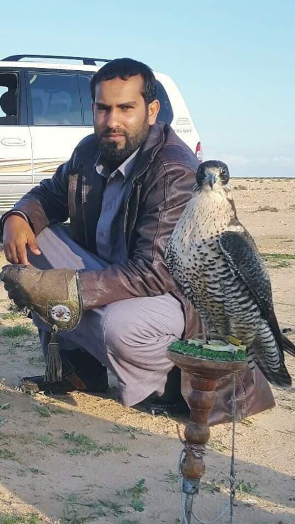 طيور جارحة في ليبيا طيور جارحة في ليبيا - سبوتنيك عربي