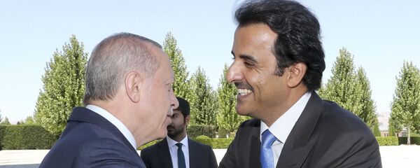 أمير قطر الشيخ تميم آل ثاني مع رئيس تركيا رجب طيب أردوغان - سبوتنيك عربي