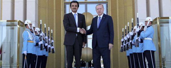 أمير قطر الشيخ تميم آل ثاني ورئيس تركيا رجب طيب أردوغان - سبوتنيك عربي