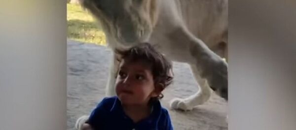 أشجع طفل في العالم - سبوتنيك عربي