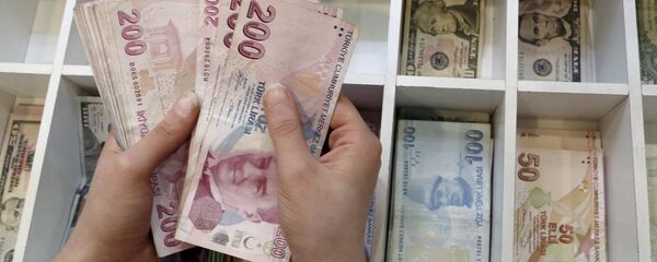 الليرة التركية - سبوتنيك عربي