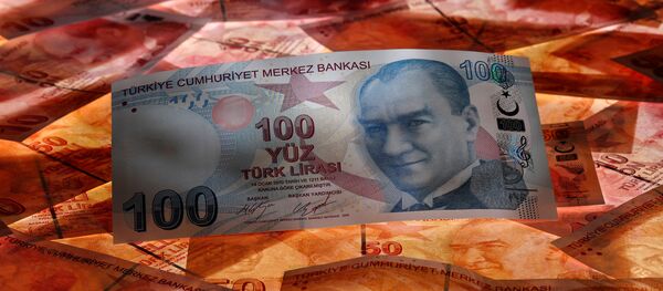 الليرة التركية - سبوتنيك عربي