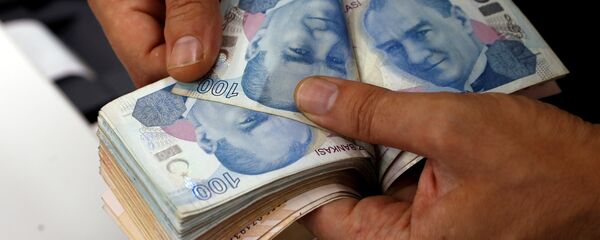 الليرة التركية - سبوتنيك عربي