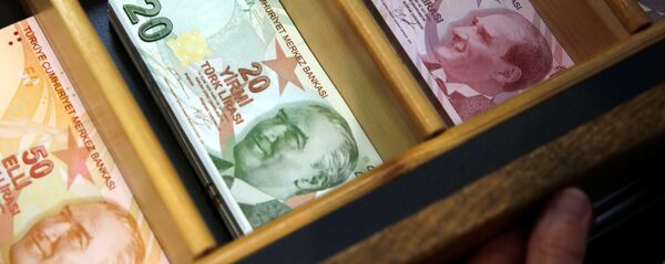 الليرة التركية - سبوتنيك عربي