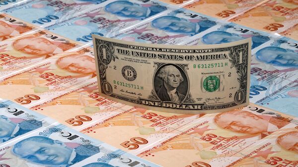  الليرة التركية و الدولار - سبوتنيك عربي