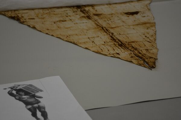 المتحف المصري الكبير - سبوتنيك عربي