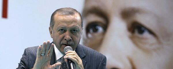 رجب طيب أردوغان - سبوتنيك عربي