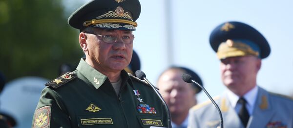 وزير الدفاع الروسي سيرغي شويغو - سبوتنيك عربي