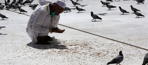 الحج، مكة، السعودية، 16 أغسطس/ آب 2018 - سبوتنيك عربي