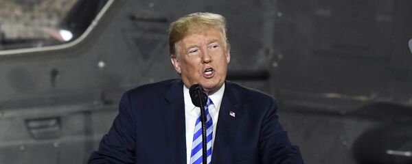 الرئيس الأمريكي دونالد ترامب - سبوتنيك عربي