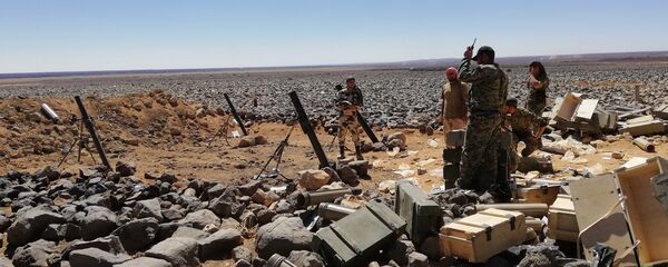 خبير عسكري: واشنطن تمتطي صهوة النصرة بعد اندثار داعش وإطباق الحصار على التنف - سبوتنيك عربي