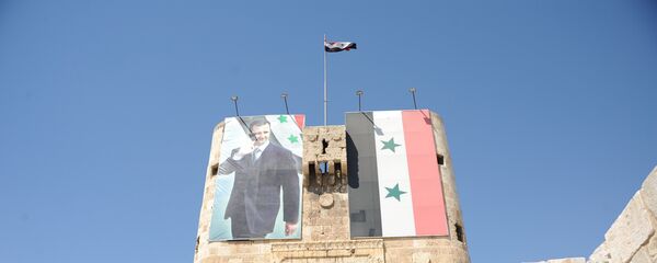 مدخل قلعة حلب - سبوتنيك عربي