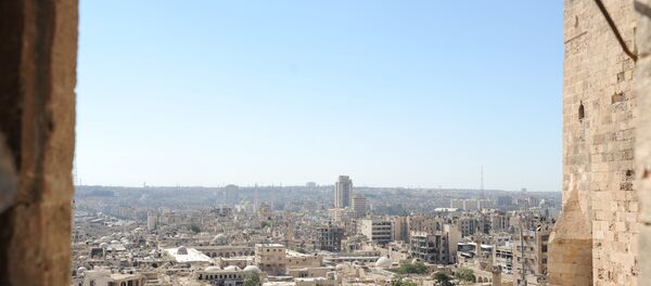 مشهد يطل على مدينة حلب - سبوتنيك عربي