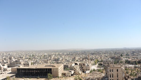 مشهد يطل على المدينة من على قلعة حلب - سبوتنيك عربي