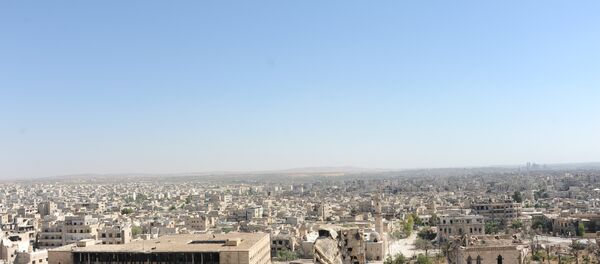 مشهد يطل على المدينة من على قلعة حلب - سبوتنيك عربي