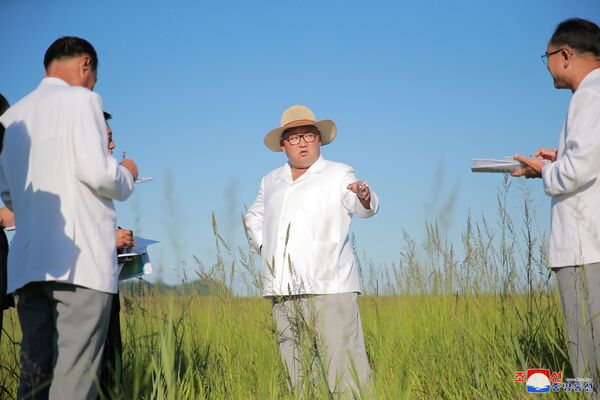 زعيم كوريا الشمالية كيم جونغ أون يتفقد موقع دفيئة زراعية في المستقبل في كيونغ سونغ، كوريا الشمالية 17 أغسطس/ آب 2018 - سبوتنيك عربي