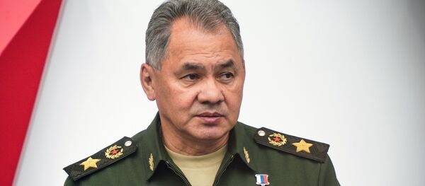 وزير الدفاع الروسي سيرغي شويغو وزير الدفاع الروسي سيرغي شويغو - سبوتنيك عربي