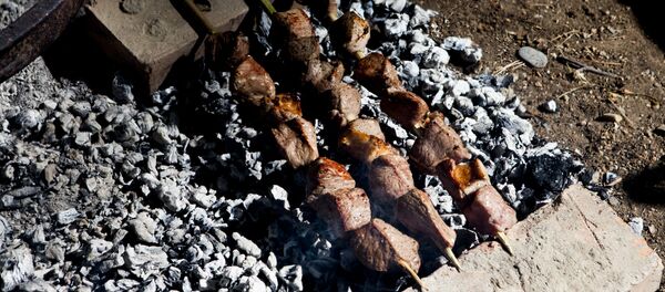 مشاوي مشاوي - سبوتنيك عربي