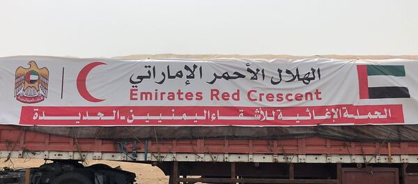 الهلال الأحمر الإماراتي - سبوتنيك عربي