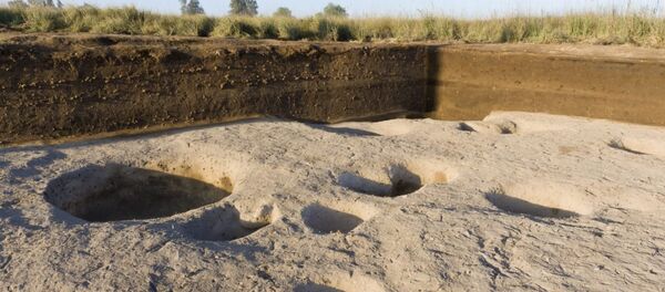 صا الحجر - سبوتنيك عربي