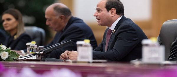 الرئيس المصري عبد الفتاح السيسي - سبوتنيك عربي