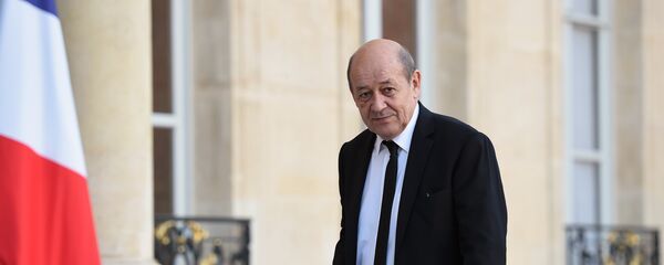 وزير الخارجية الفرنسي جان إيف لودريان - سبوتنيك عربي
