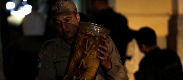 حريق متحف البرازيل حريق متحف البرازيل - سبوتنيك عربي