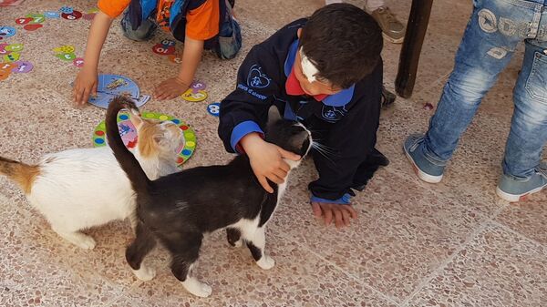 الأطفال السوريون في محمية القطط في حلب الأطفال السوريون في محمية القطط في حلب - سبوتنيك عربي