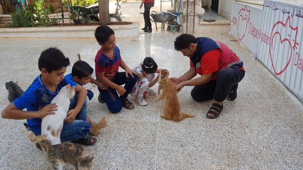 الأطفال السوريون في محمية القطط في حلب الأطفال السوريون في محمية القطط في حلب - سبوتنيك عربي