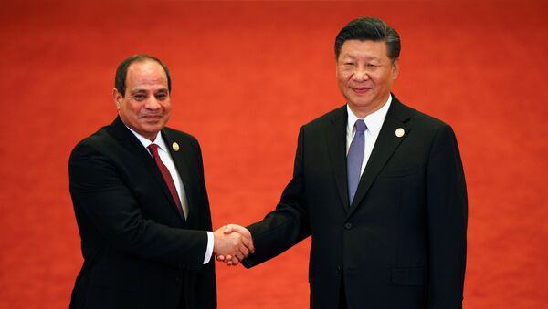 السيسي والرئيس الصيني - سبوتنيك عربي