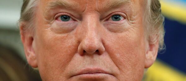 الرئيس الأمريكي دونالد ترامب - سبوتنيك عربي