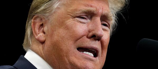 الرئيس الأمريكي دونالد ترامب - سبوتنيك عربي