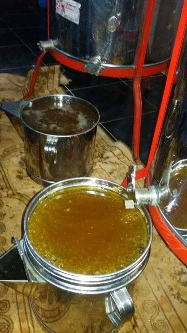 عسل النحل الليبي عسل النحل الليبي - سبوتنيك عربي