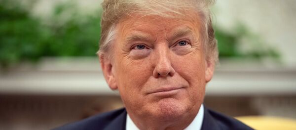 الرئيس الأمريكي دونالد ترامب الرئيس الأمريكي دونالد ترامب - سبوتنيك عربي