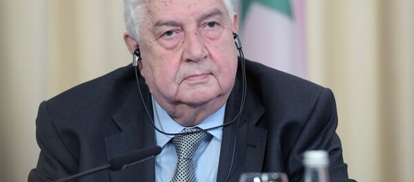 وليد المعلم - سبوتنيك عربي