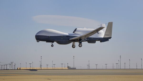 Mطائرة MQ-4C Triton - سبوتنيك عربي