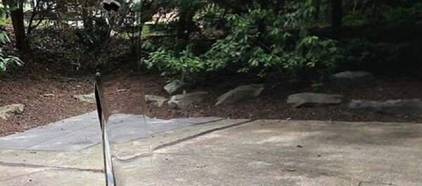 سيارة غير مرئية سيارة غير مرئية - سبوتنيك عربي