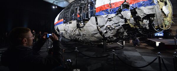 تفاصيل جديدة حول تحطم الطائرة MH17 الماليزية تفاصيل جديدة حول تحطم الطائرة MH17 الماليزية - سبوتنيك عربي