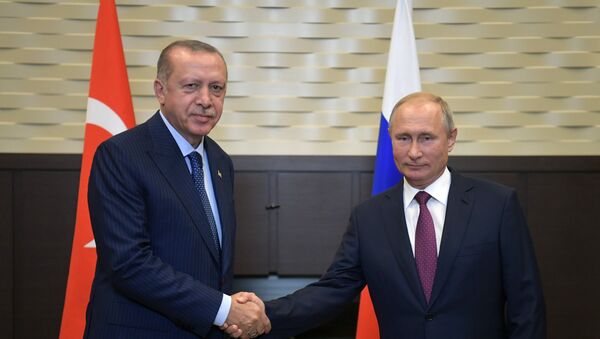 الرئيس بوتين يلتقي نظيره التركي أردوغان في سوتشي الروسية - سبوتنيك عربي