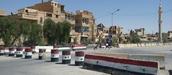 تدمر، سوريا - سبوتنيك عربي