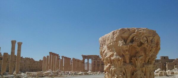 تدمر، سوريا - سبوتنيك عربي