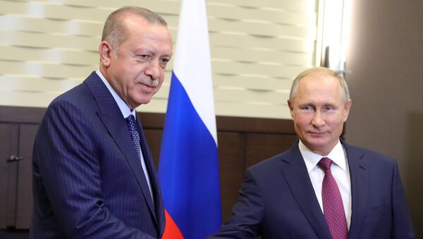 لقاء الرئيسين الروسي فلاديمير بوتين والتركي رجب طيب أردوغان - سبوتنيك عربي