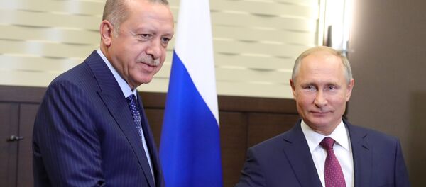 لقاء الرئيسين الروسي فلاديمير بوتين والتركي رجب طيب أردوغان - سبوتنيك عربي