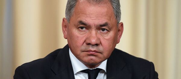 وزير الدفاع الروسي سيرغي شويغو - سبوتنيك عربي