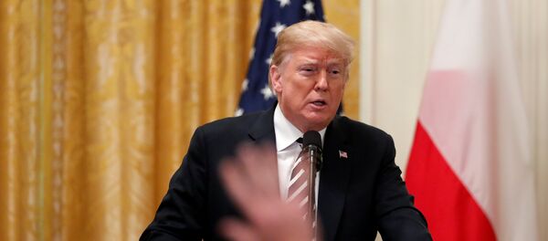 الرئيس الأمريكي، دونالد ترامب - سبوتنيك عربي